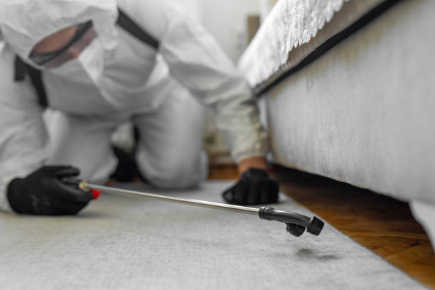 Professional Bed Bug Control technician working in Wilmington Manor, DE