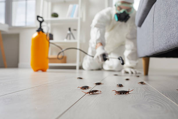 Trusted Cockroach Control service in Wilmington Manor, DE - Nex Pest Control